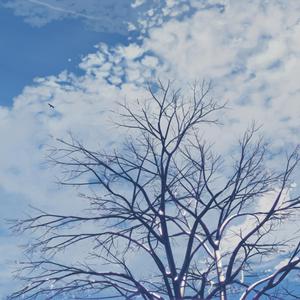 变性人性爱操逼视频
